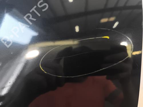 Left front fenders RENAULT SCÉNIC III (JZ0/1_) 1.5 dCi | BP28004300C41 