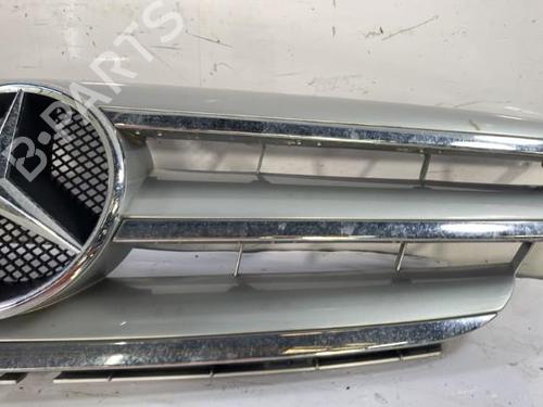 Used Grille MERCEDES-BENZ B-CLASS Sports Tourer (W245) B 200 (245.233) (136 hp) 22837129