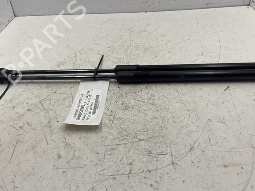 Used Tailgate lift support RENAULT CLIO V (B7_) 1.5 Blue dCi 100 (B7AD) (101 hp) 23829948
