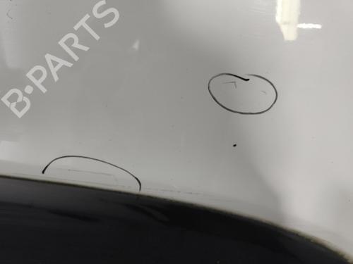 Right front door RENAULT TRAFIC III Van (FG_) 1.6 dCi 95 (FGMJ, FGMR) | BP29598838C3 