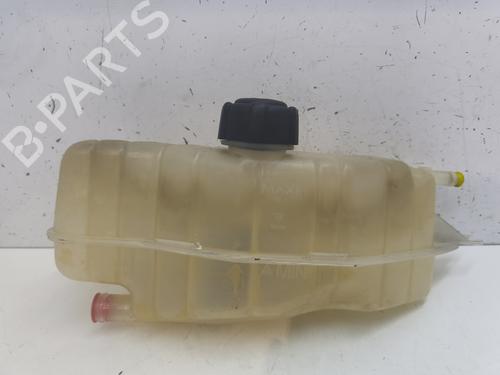 Used Expansion tank RENAULT CLIO III (BR0/1, CR0/1) 1.2 16V (BR02, BR0J, BR11, CR02, CR0J, CR11) (75 hp) 26148303