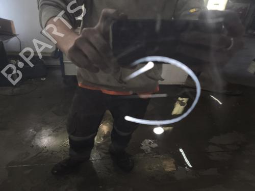 Left rear door RENAULT ZOE (BFM_) ZOE | BP29598788C4 