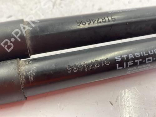 Tailgate lift support DACIA DUSTER (HS_) 1.5 dCi 4x4 | BP22840250C138 