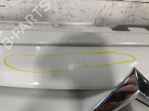 Grille CITROËN C3 I (FC_, FN_) 1.4 HDi | BP29869115C40