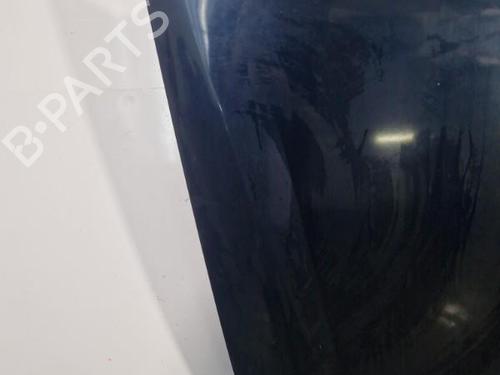 Used Hood RENAULT LAGUNA II (BG0/1_) 1.9 dCi (BG08, BG0G) (120 hp) 22836637