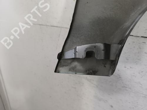 Left front fenders PEUGEOT 206 Hatchback (2A/C) 2.0 HDI 90 | BP30114291C41