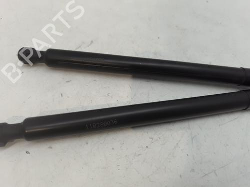 Tailgate lift support RENAULT CLIO IV (BH_) 1.5 dCi 75 | BP28702822C138