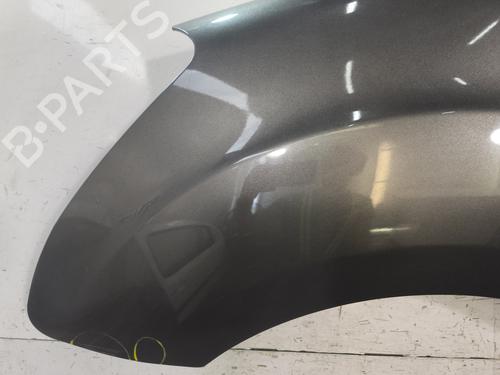 Left front fenders CITROËN BERLINGO MULTISPACE (B9) 1.6 BlueHDi 100 | BP28328489C41 