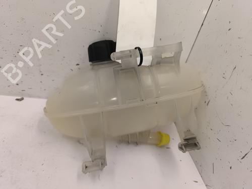 Expansion tank RENAULT TRAFIC III Van (FG_) 1.6 dCi 115 (FGMD) | BP25204869C120 