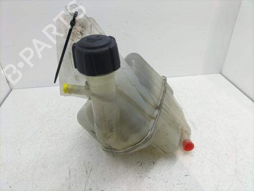 Used Expansion tank RENAULT VEL SATIS (BJ0_) 2.2 dCi (BJ0E, BJ0F) (150 hp) 30326863