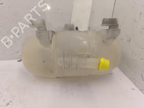 Expansion tank RENAULT TRAFIC III Van (FG_) 1.6 dCi 115 (FGMD) | BP25204869C120 