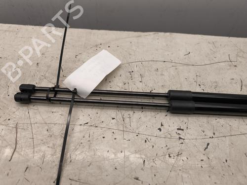 Tailgate lift support RENAULT KANGOO III MPV TCe 130 (KJMB) | BP29515753C138 