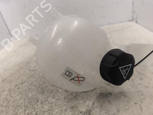 Used Expansion tank PEUGEOT 208 II (UB_, UP_, UW_, UJ_) e-208 (136 hp) 24196784