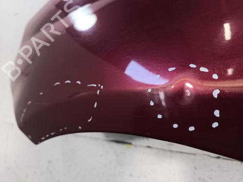 Left front fenders FIAT GRANDE PUNTO (199_) 1.4 (199AXB11, 199AXB1A, 199BXB1A, 199AXL1A) | BP23841954C41 