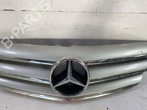 Grille MERCEDES-BENZ B-CLASS Sports Tourer (W245) B 200 (245.233) | BP22837129C40