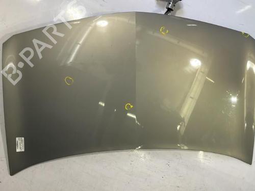 Hood RENAULT MEGANE II (BM0/1_, CM0/1_) 1.6 16V (BM0C, CM0C) | BP22835410C1 