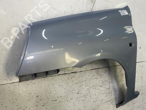 Left front fenders RENAULT CLIO II (BB_, CB_) 1.2 16V (BB05, BB0W, BB11, BB27, BB2T, BB2U, BB2V, CB05,... | BP32281115C41