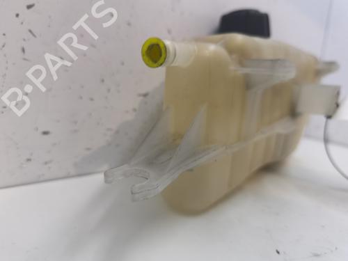 Expansion tank RENAULT CLIO III (BR0/1, CR0/1) 1.2 16V (BR02, BR0J, BR11, CR02, CR0J, CR11) | BP26148303C120 