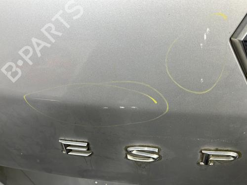 Tailgate RENAULT ESPACE IV (JK0/1_) 2.0 dCi (JK03, JK04, JK1C, JK1G, JK1J, JK1K) | BP28824258C6 