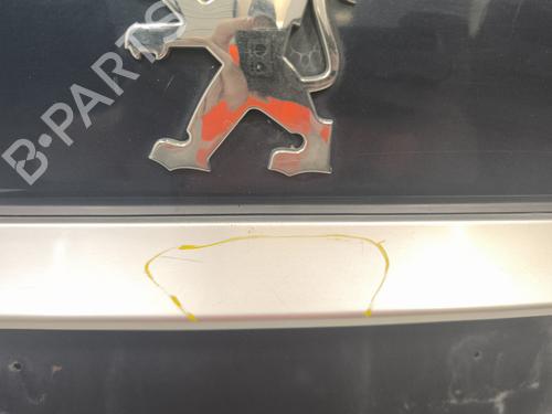 Tailgate PEUGEOT 307 Break (3E) 1.6 HDi 110 | BP29054593C6 