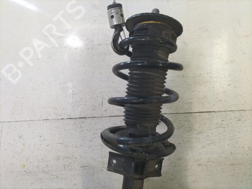 Left front steering knuckle RENAULT MASTER III Van (FV) 2.3 dCi 165 RWD (FV0P, FV0U, FV10, FV12, FV1E) | BP31796913M25 