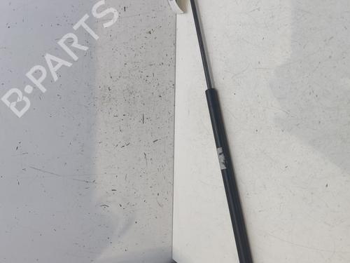 Hood lift support AUDI A3 (8P1) 2.0 TDI 16V | BP27436822C139 