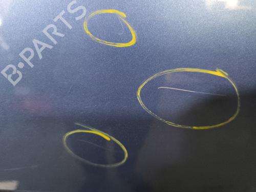 Right rear door RENAULT CLIO III Grandtour (KR0/1_) 1.5 dCi | BP29598780C5 