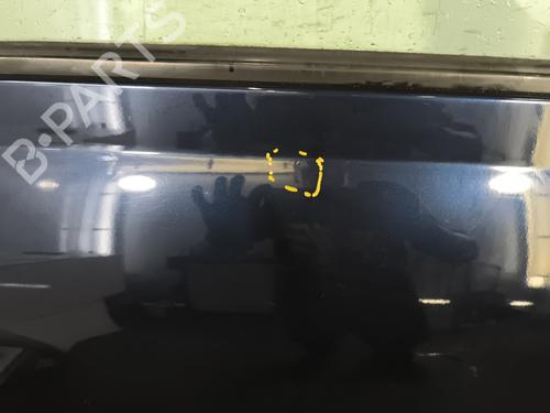 Right front door PEUGEOT 406 (8B) 2.2 HDi | BP25477774C3 