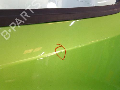 Left front door FIAT QUBO (225_) 1.3 D Multijet (225CXB1A, 225AXB1A, 225CXB11, 225AXB11,... | BP22826233C2 
