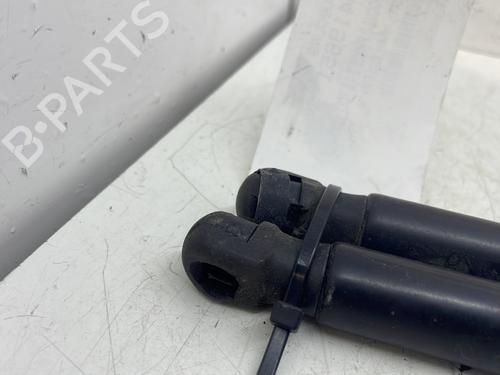 tailgate-lift-support-ford-focus-iii-2010-2011-2012-2013-2014-2015-2016-2017-2018-2019-2020-30045588 main image