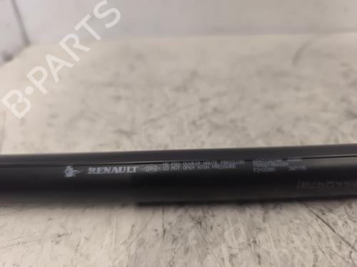 Used Hood lift support DACIA SANDERO II 1.5 dCi (90 hp) 24445502