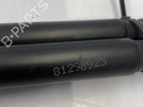 Used Tailgate lift support FORD FIESTA VI (CB1, CCN) 1.25 (60 hp) 22832274