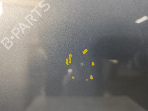 Left front door VW PASSAT CC B6 (357) 2.0 TDI | BP32388188C2