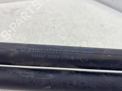 Tailgate lift support FORD FOCUS III 1.5 TDCi | BP30045588C138