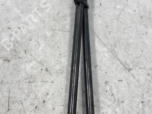 Tailgate lift support PEUGEOT 208 I (CA_, CC_) 1.6 BlueHDi 100 | BP22833859C138