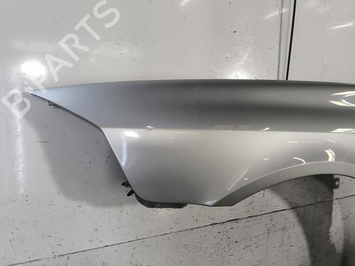 Left front fenders RENAULT LAGUNA II (BG0/1_) 1.9 dCi (BG1A, BG1W, BG0G) | BP27348032C41 