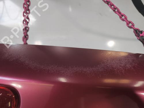 Tailgate RENAULT KANGOO Express (FC0/1_) 1.5 dCi | BP26585489C6 