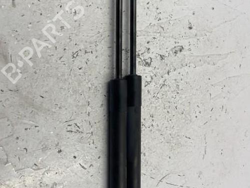 Tailgate lift support RENAULT CLIO IV (BH_) 1.5 dCi 90 | BP22840545C138 