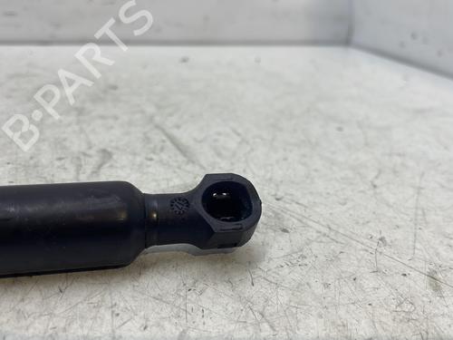 hood-lift-support-renault-clio-iv-bh_-2012-2013-2014-2015-2016-2017-2018-2019-2020-2021-30059295 main image