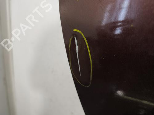 Left front door DACIA SANDERO II 1.2 | BP29833724C2 