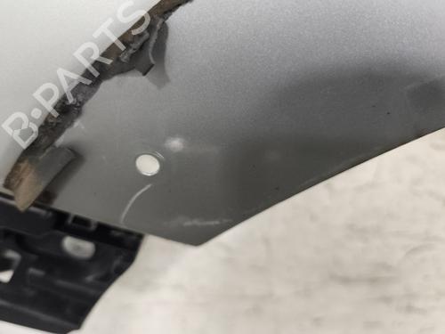 Left front fenders DACIA LODGY (JS_) 1.2 TCe (JSAY, JSM0) | BP30162446C41