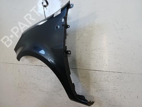 Left front fenders RENAULT CLIO III (BR0/1, CR0/1) 1.5 dCi (C/BR0G, C/BR1G) | BP29619343C41 