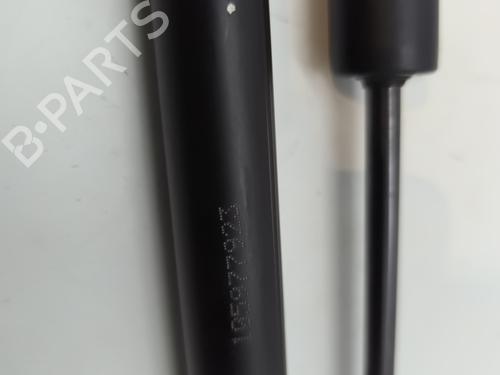 Tailgate lift support RENAULT ZOE (BFM_) ZOE (BFMC, BFMD) | BP25899542C138