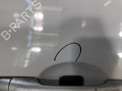 Right front door RENAULT CLIO III (BR0/1, CR0/1) 1.5 dCi | BP29598737C3 