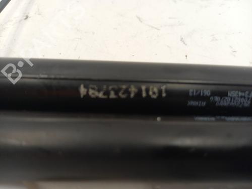 Tailgate lift support PEUGEOT 208 I (CA_, CC_) 1.6 HDi | BP24474600C138
