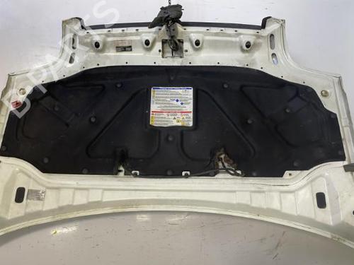 Hood FIAT DOBLO Box Body/MPV (223_) 1.3 JTD 16V | BP22841159C1 