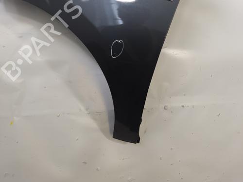 Left front fenders RENAULT MEGANE III Hatchback (BZ0/1_, B3_) 1.5 dCi (BZ09, BZ0D, BZ1W, BZ29, BZ14) | BP29222462C41 