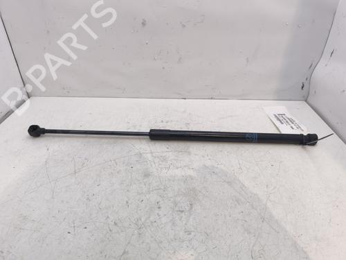 Tailgate lift support FORD ECOSPORT 1.0 EcoBoost | BP29438982C138 