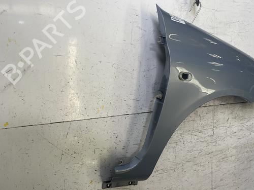 Right front fenders RENAULT CLIO II (BB_, CB_) 1.2 16V (BB05, BB0W, BB11, BB27, BB2T, BB2U, BB2V, CB05,... | BP32281114C42