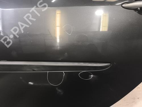 Left rear door RENAULT CLIO III (BR0/1, CR0/1) 1.5 dCi (C/BR0G, C/BR1G) | BP29980522C4
